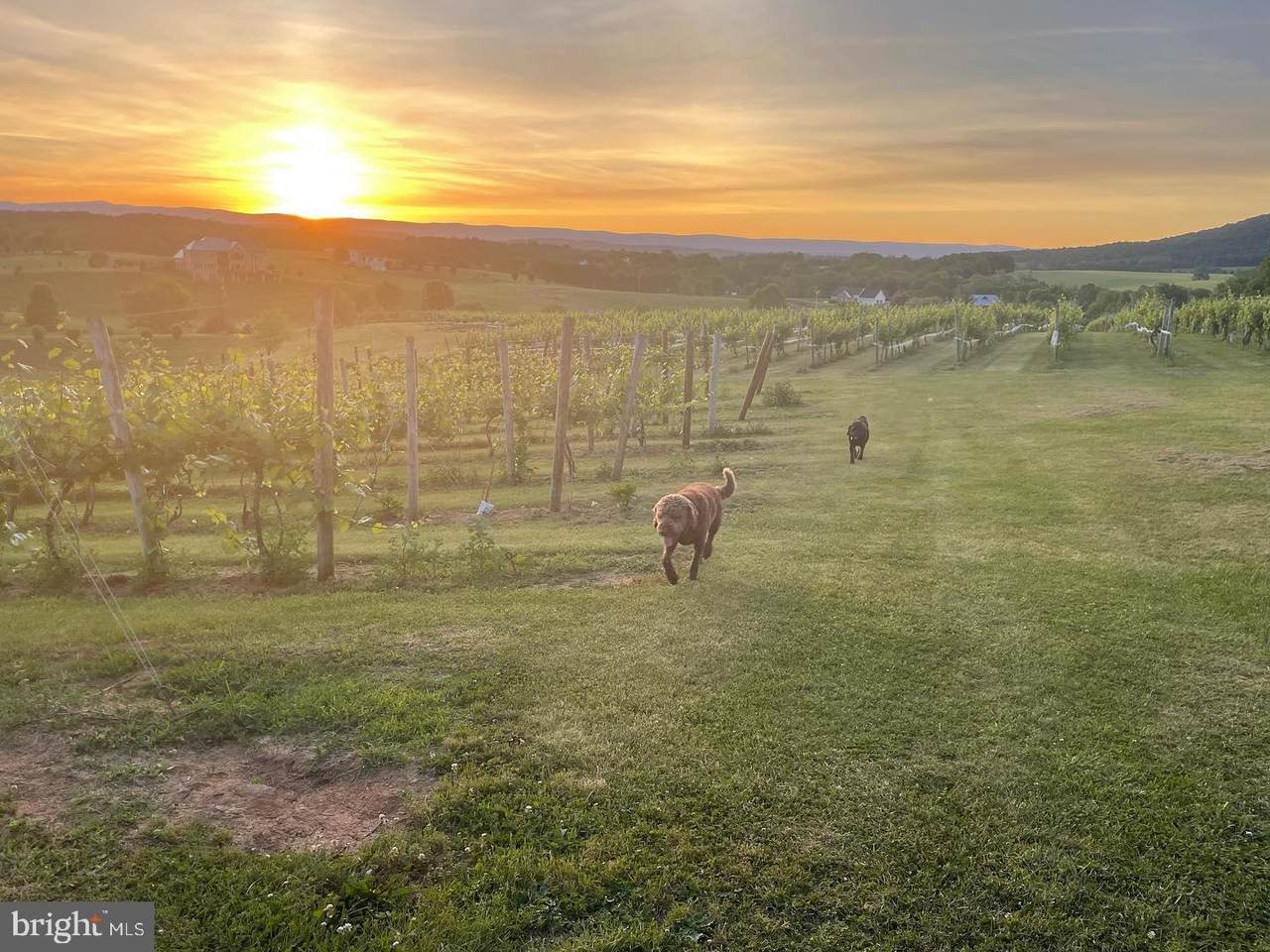 2110 Quicksburg Road - Photo 1