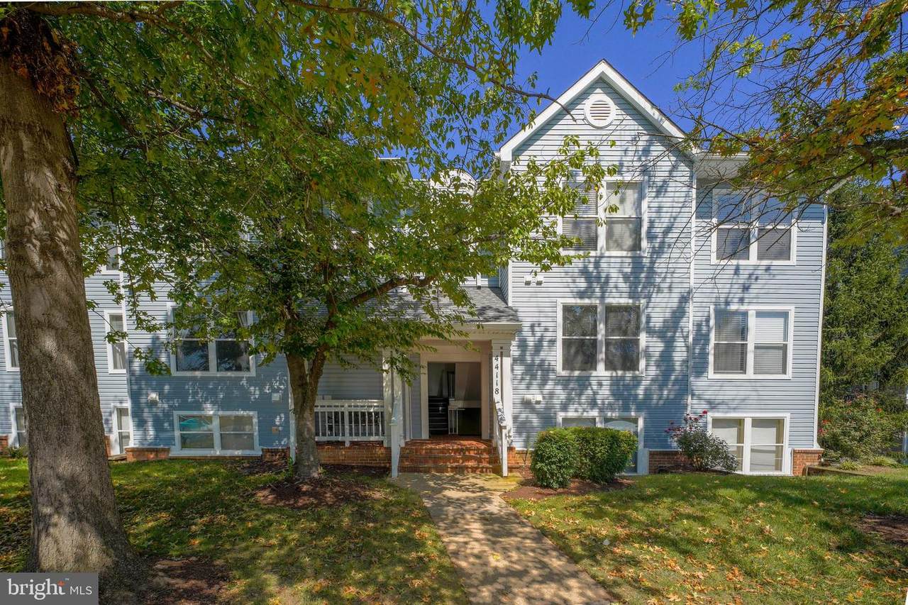 44118 Natalie Terrace - Photo 1