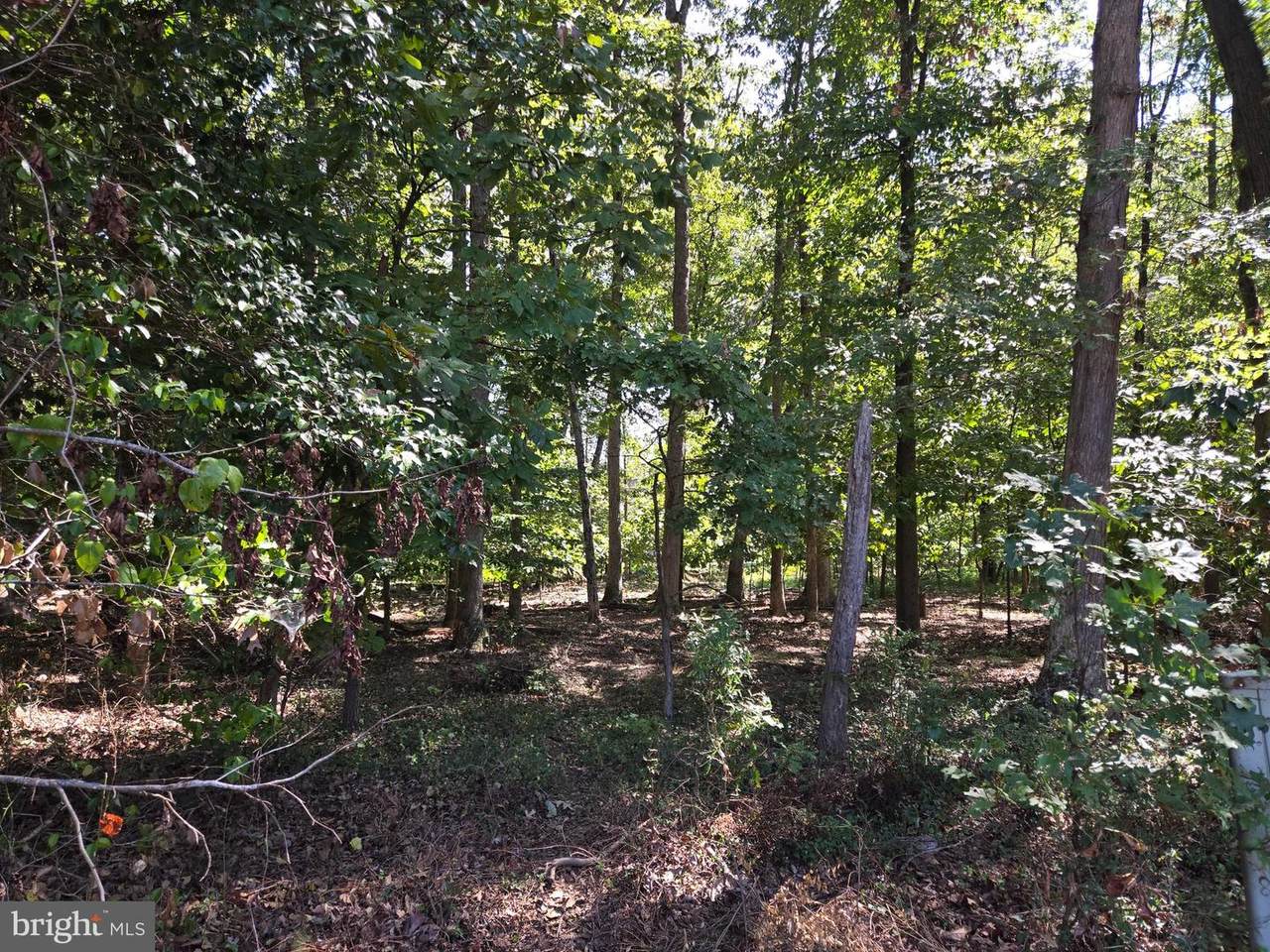 306 Thaden Avenue - Photo 1