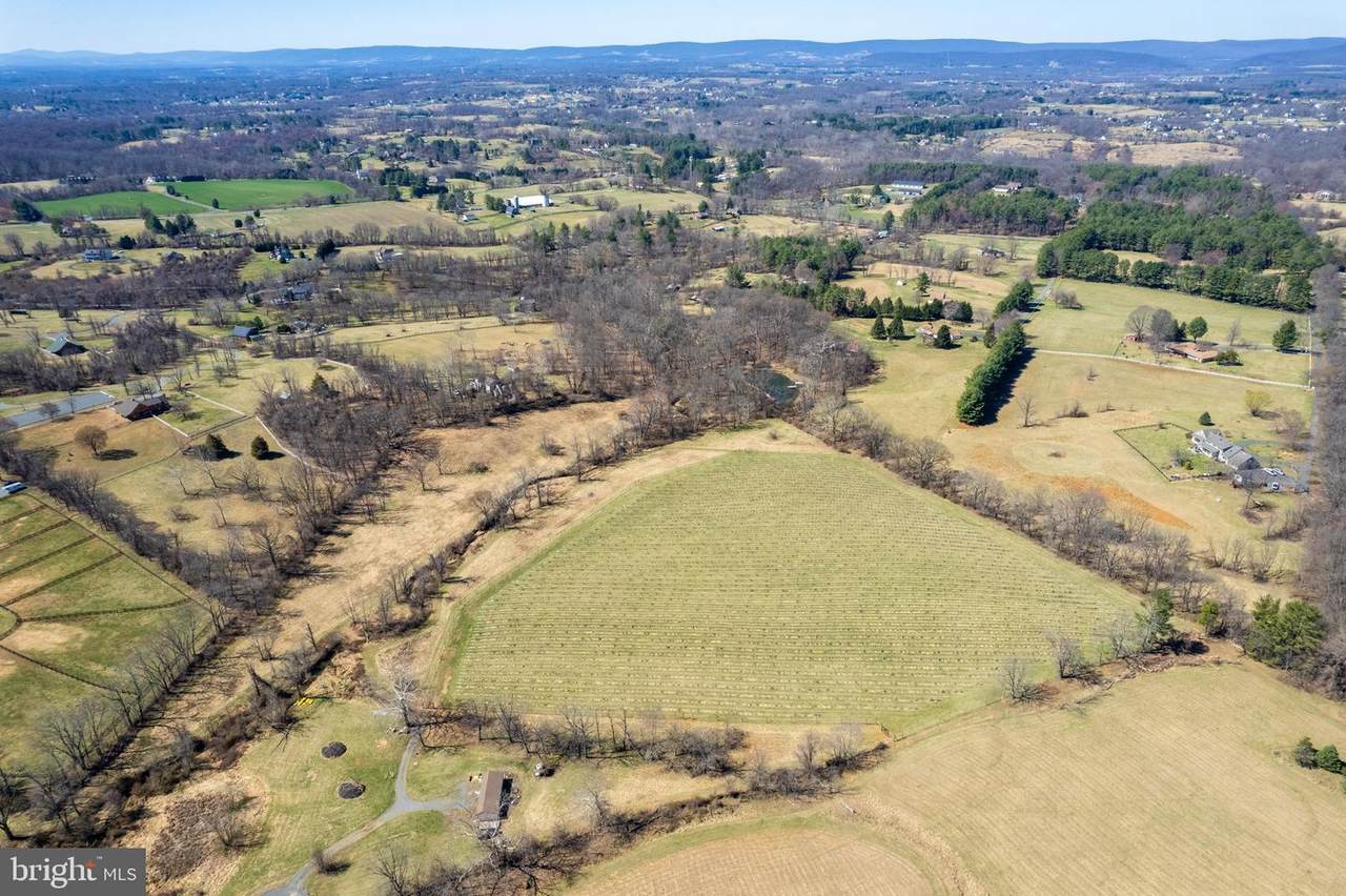 39892 Hedgeland Lane - Photo 1