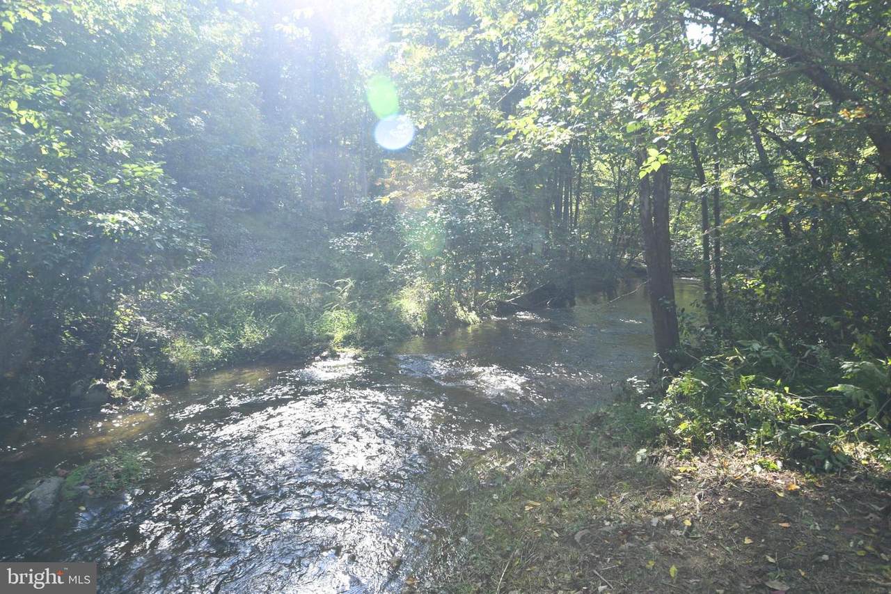Dismal Hollow Road - Photo 1