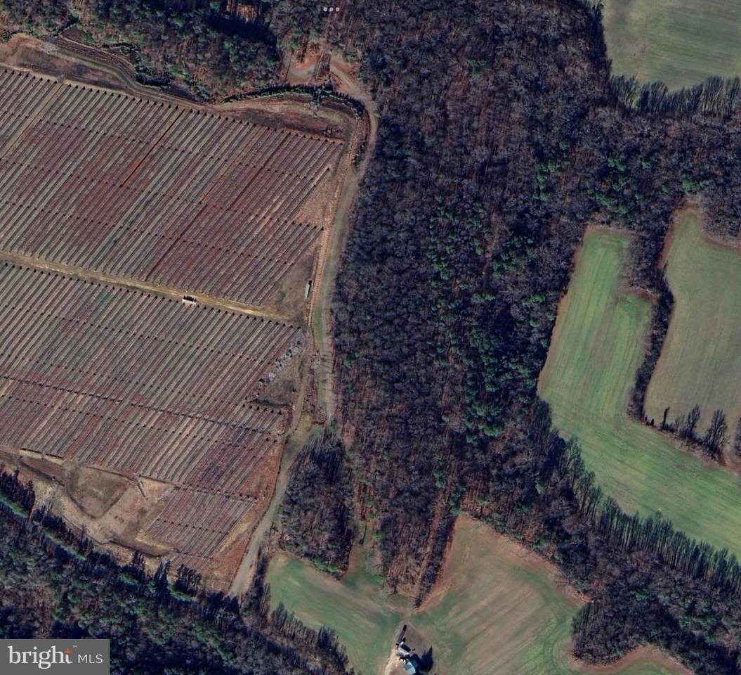 0 Muddy Gut Rd - Photo 1