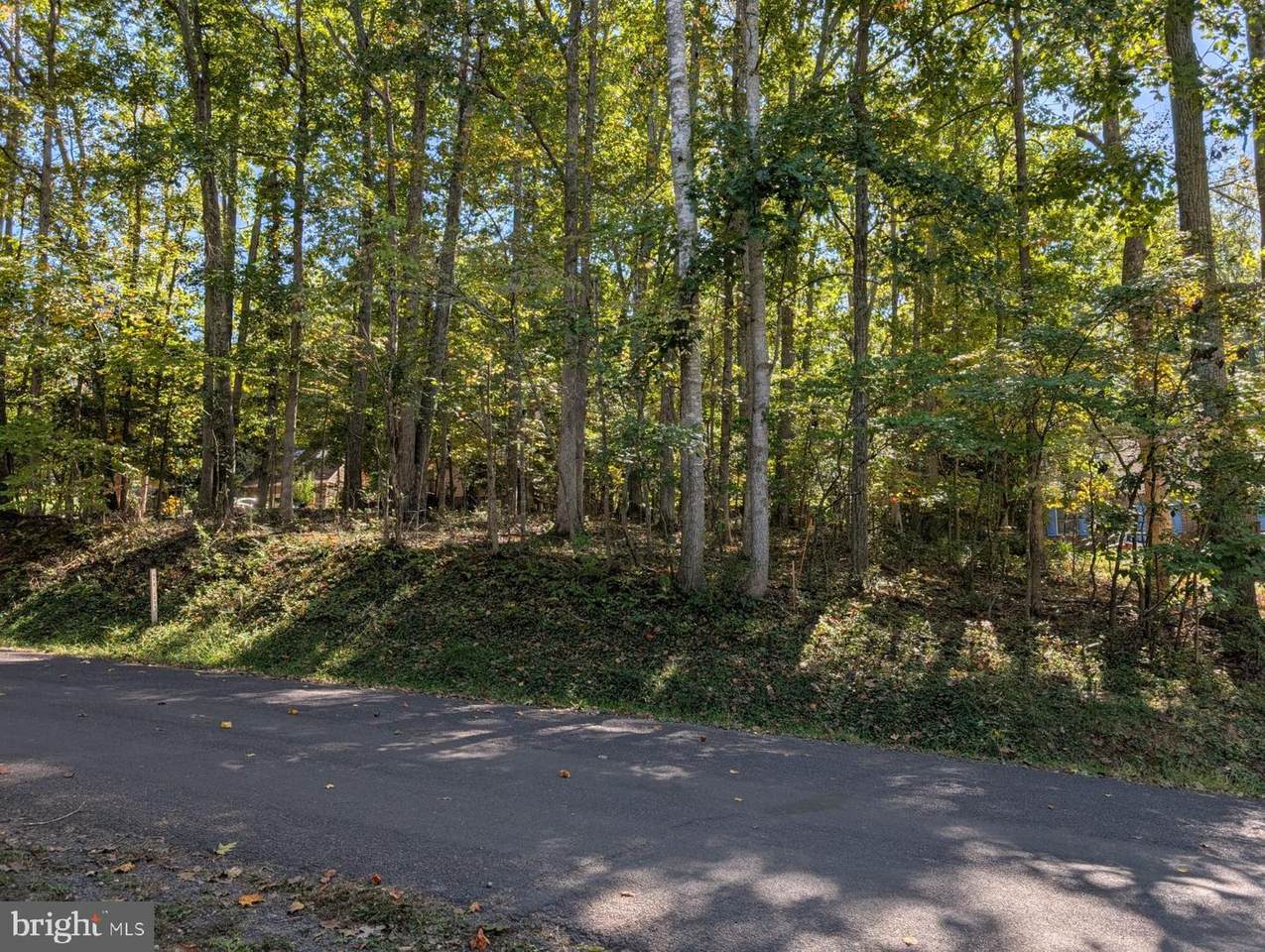 905 Eastover Parkway - Photo 1