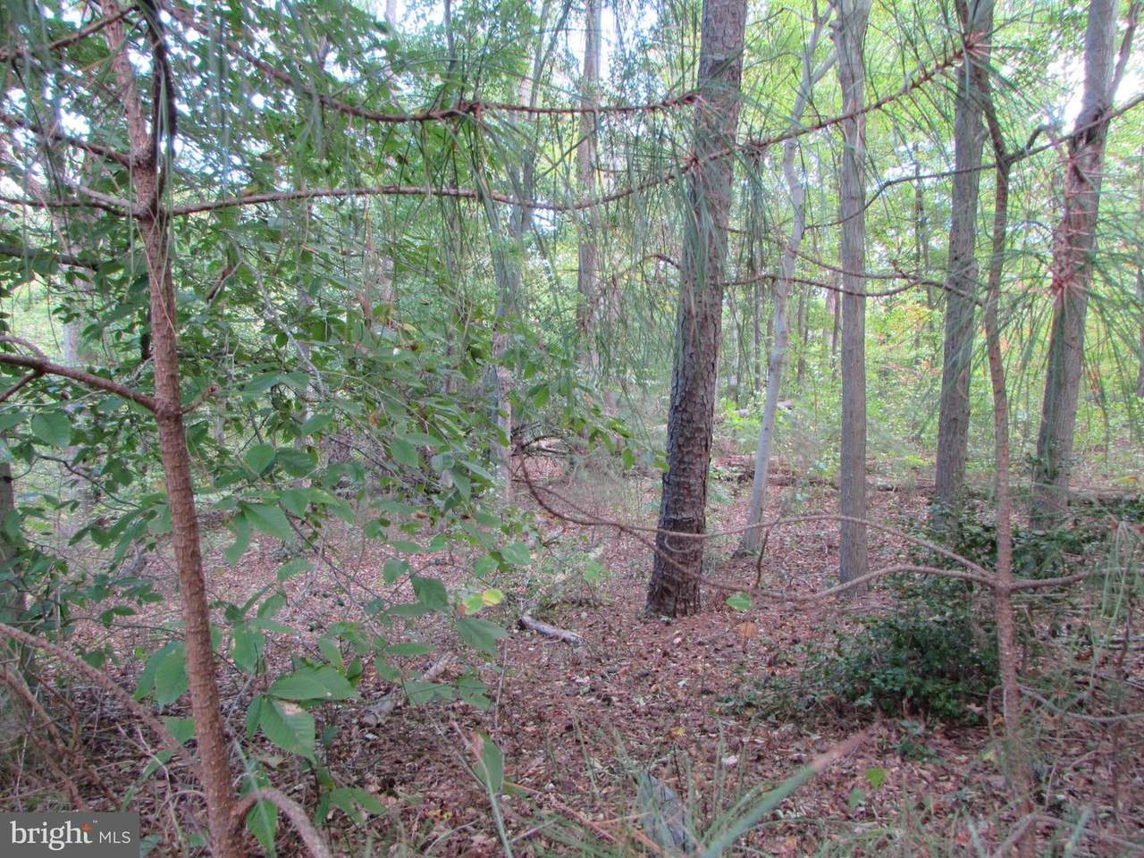 145 Stafford Road - Photo 1