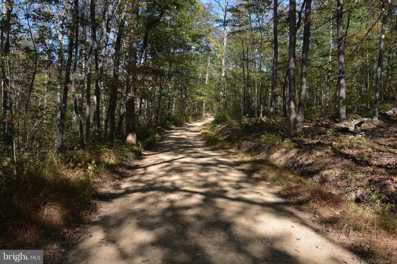 33+ ACRES Quail Run Lane - Photo 1