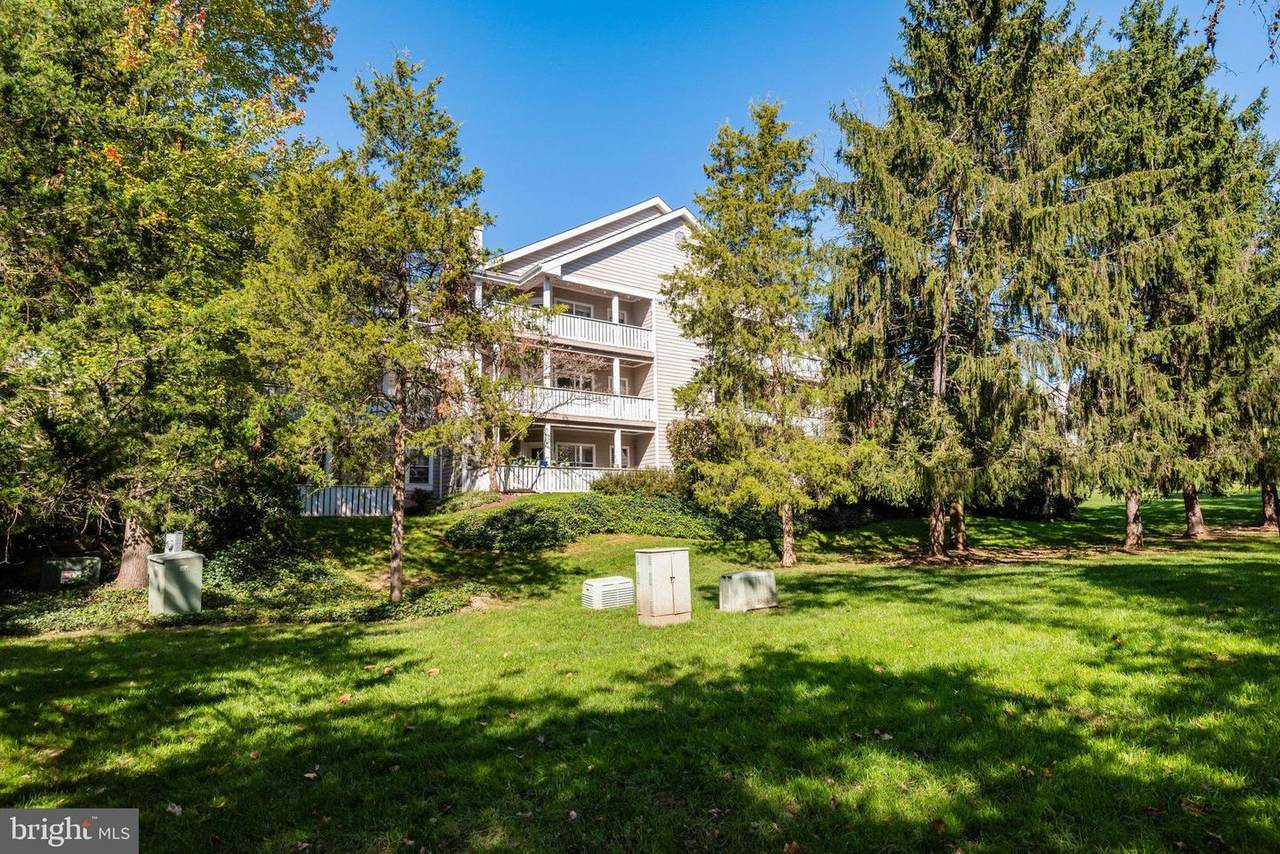 14313 Climbing Rose Way - Photo 1