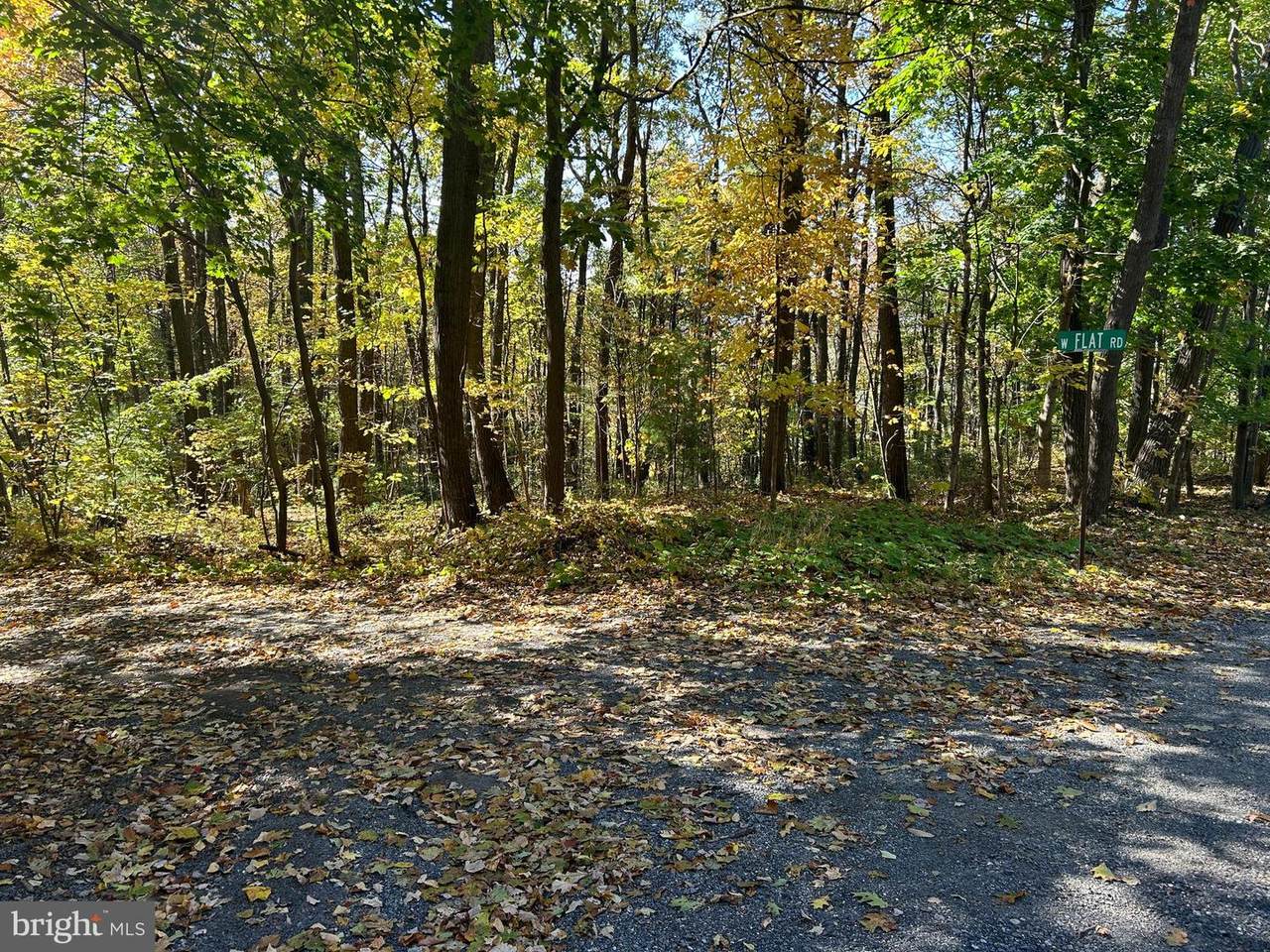 00 Wills Road - Photo 1