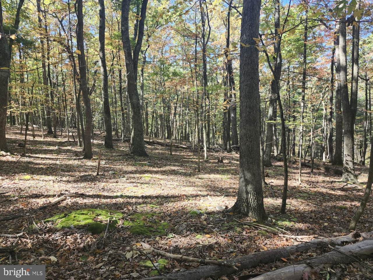 Mill Mountain Road - Photo 1