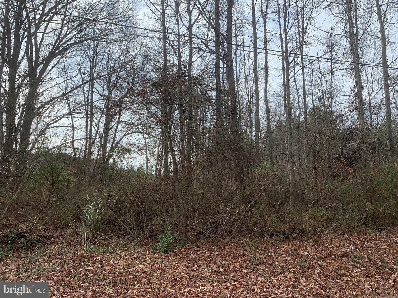 0 Giles Lane - Photo 1