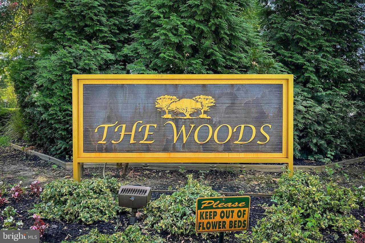 207 The Woods - Photo 1