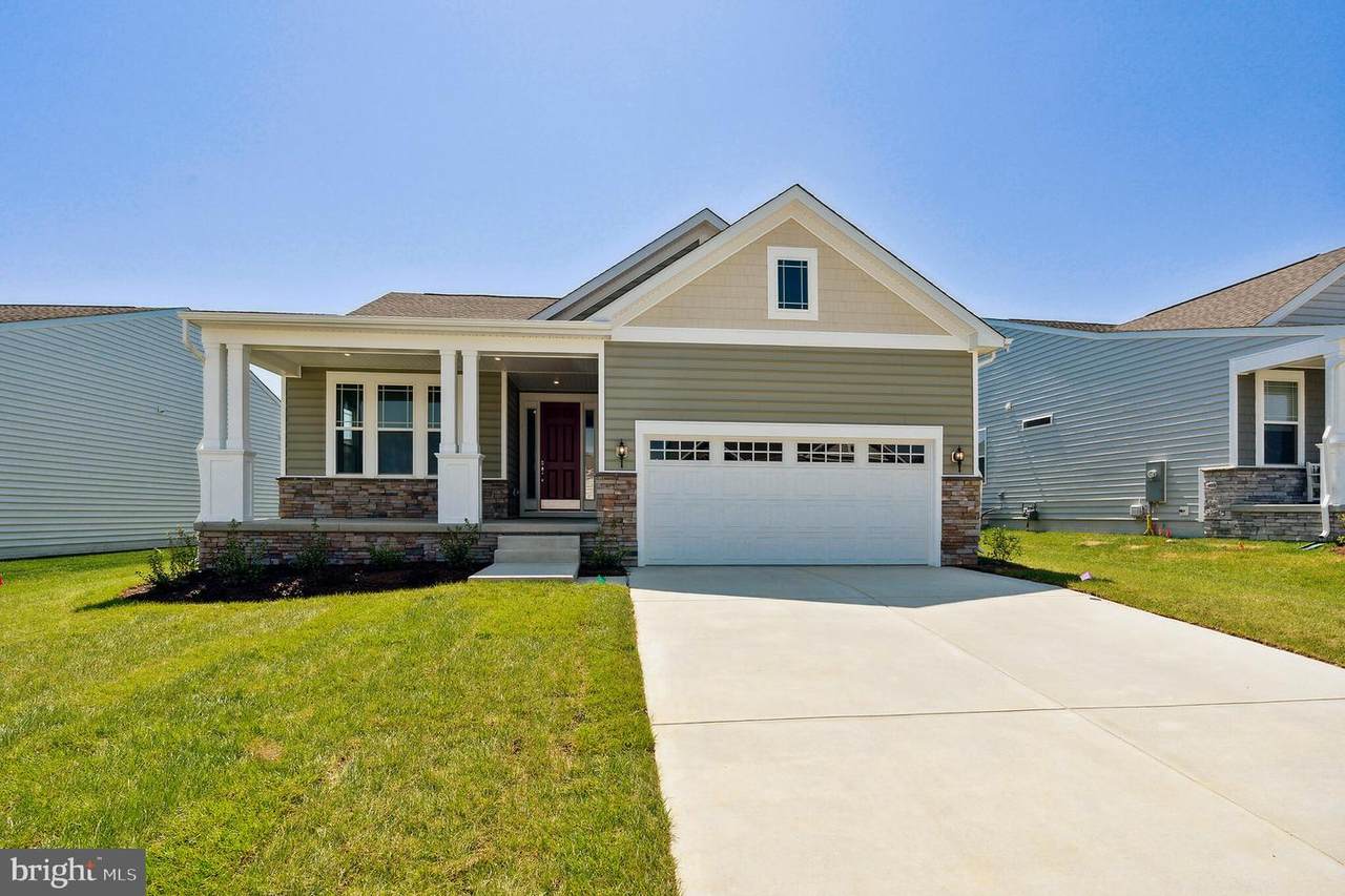 15 Golden Raintree Court - Photo 1