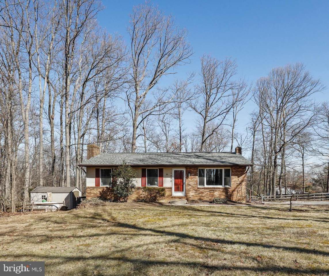 1234 Buckhorn Road - Photo 1