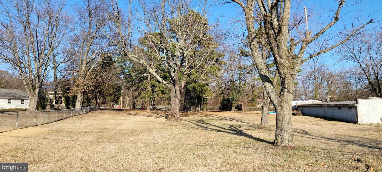 Beechwood Avenue - Photo 1