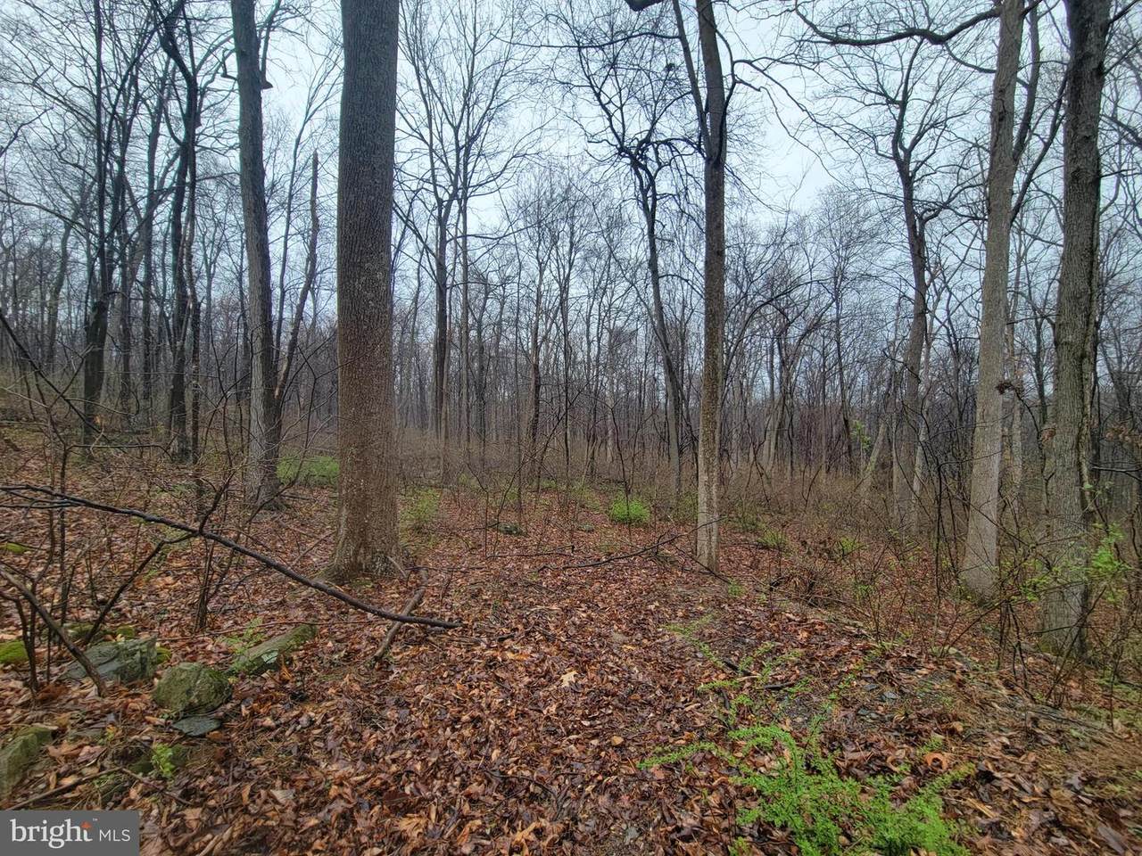 Brown Road - Photo 1