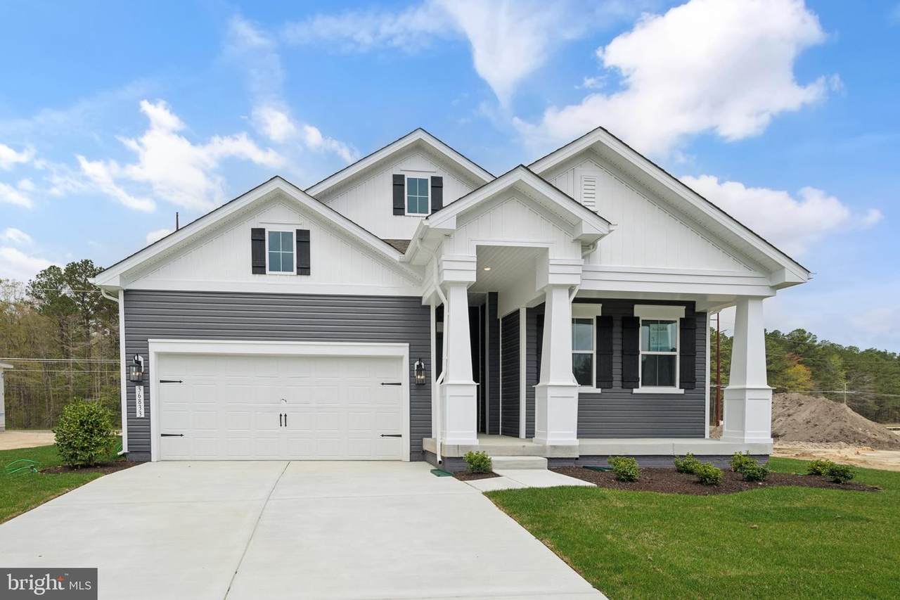 23422 Buttonbush Drive - Photo 1