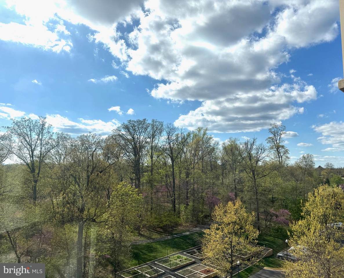 19375 Cypress Ridge Terrace - Photo 1