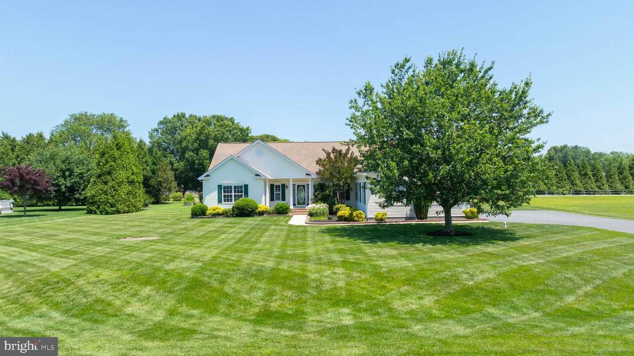 16436 Winding River Drive - Photo 1