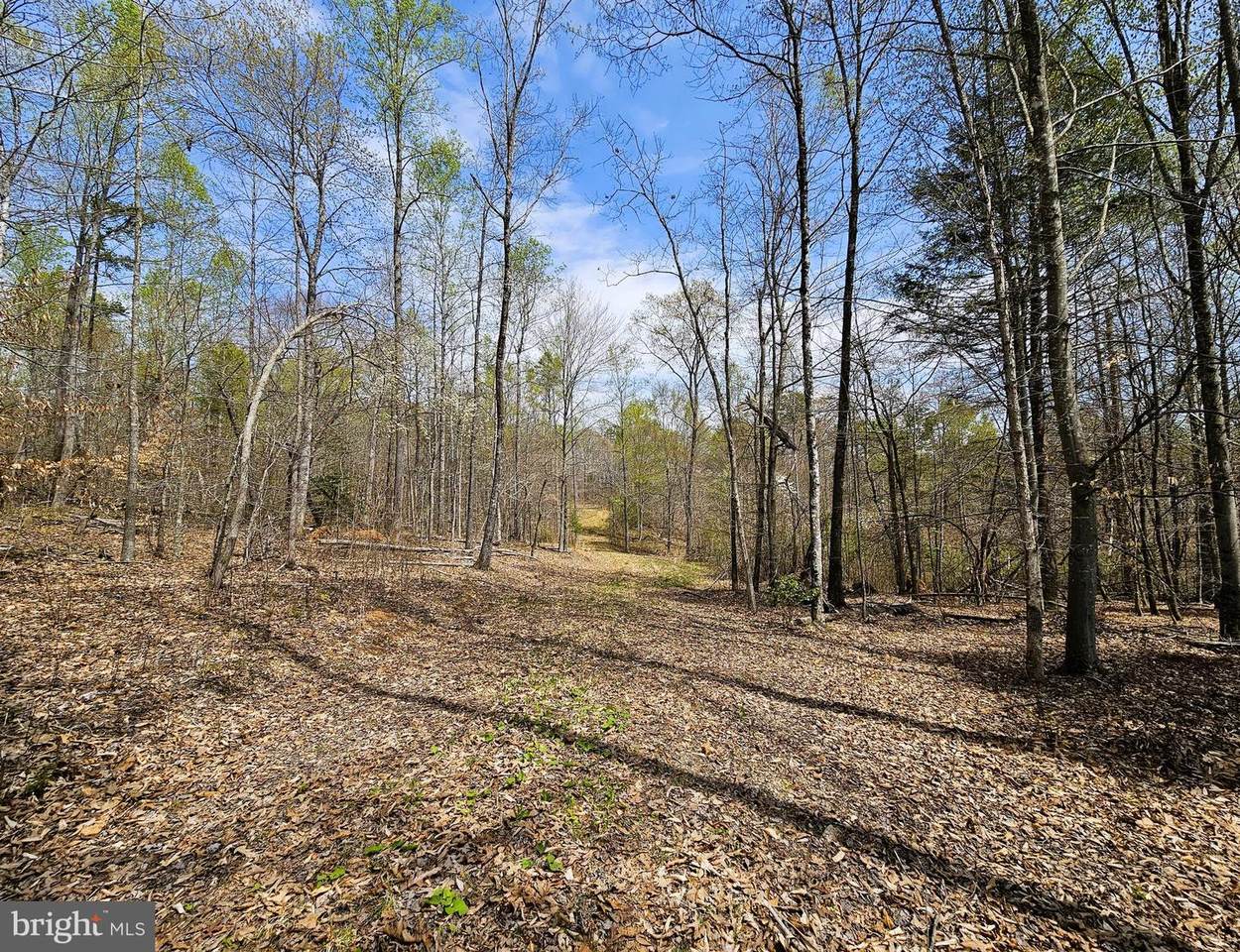 Amanda's Ridge Lane - Photo 1