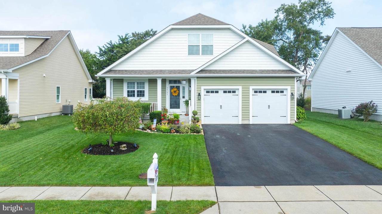 34795 Mute Swan Lane - Photo 1