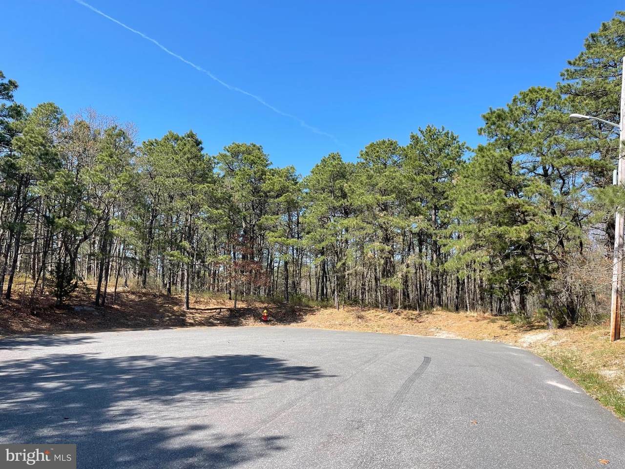 121 Trim Lane - Photo 1