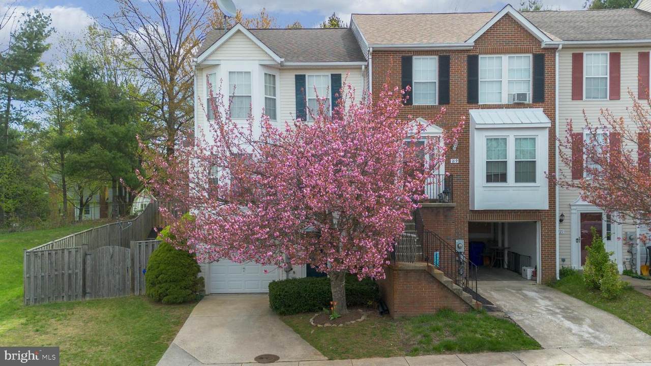 217 Mountain Terrace - Photo 1