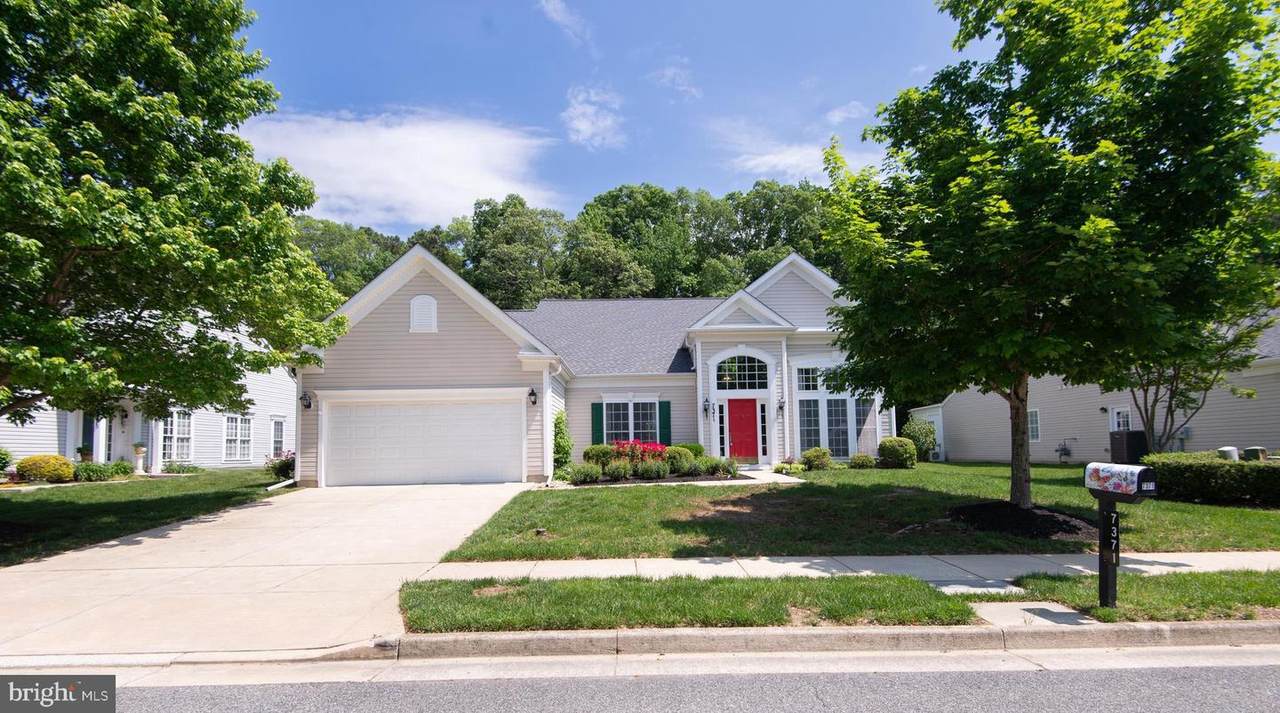 7371 Michael Avenue - Photo 1