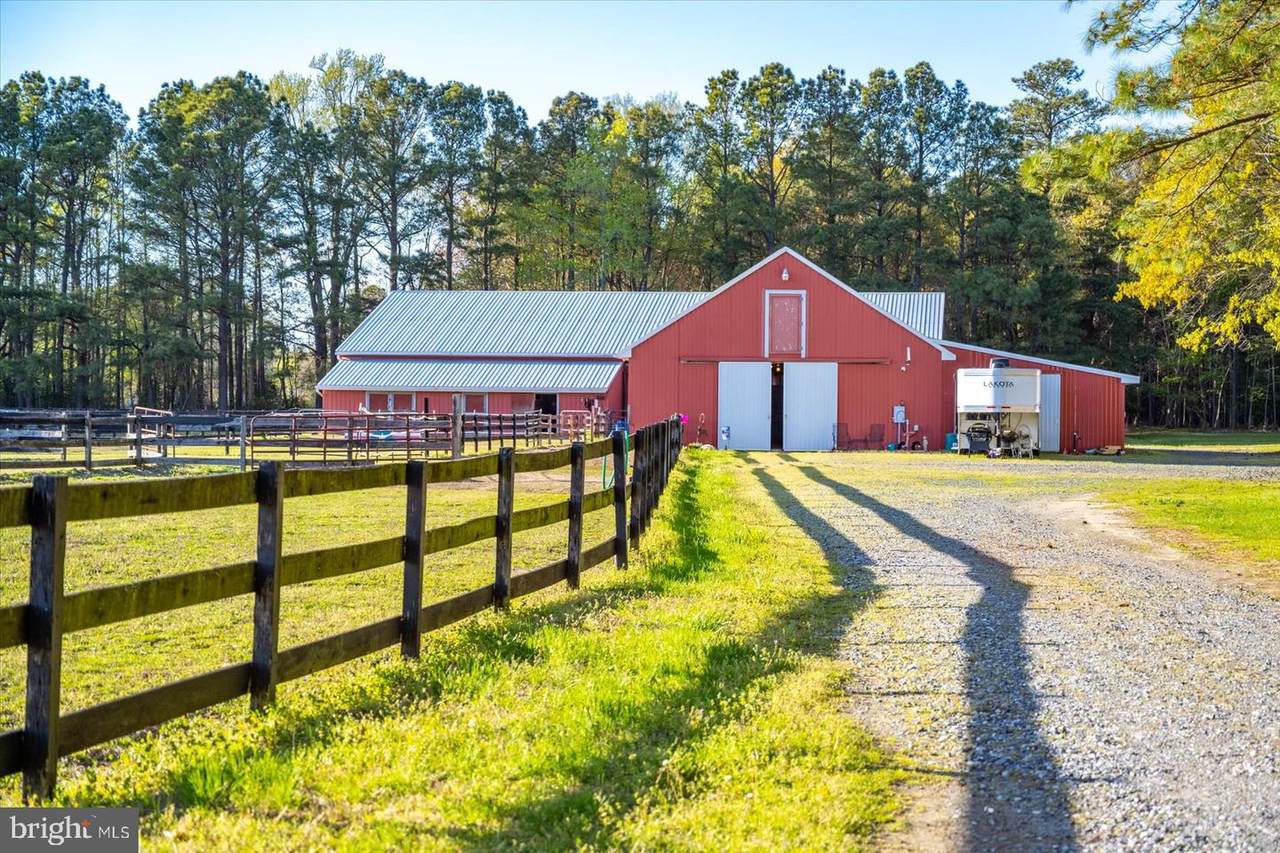 20215 Nanticoke Road - Photo 1