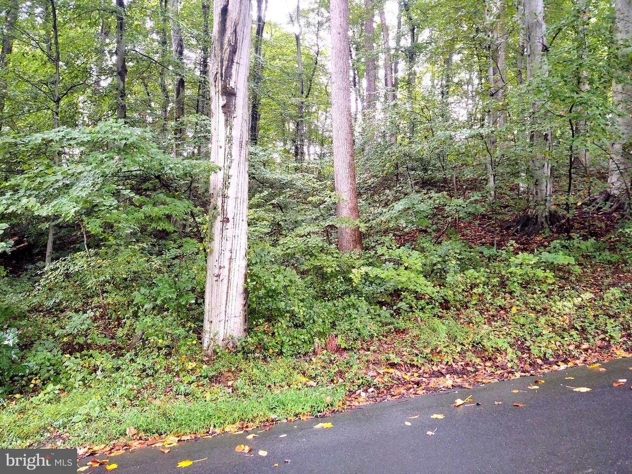 Lots 126-127 Codjus Drive - Photo 1