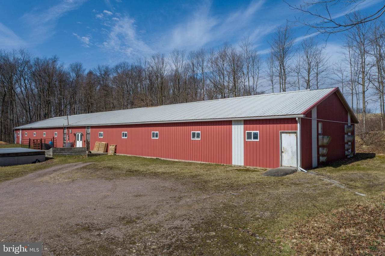 616 Crab Run Road - Photo 1