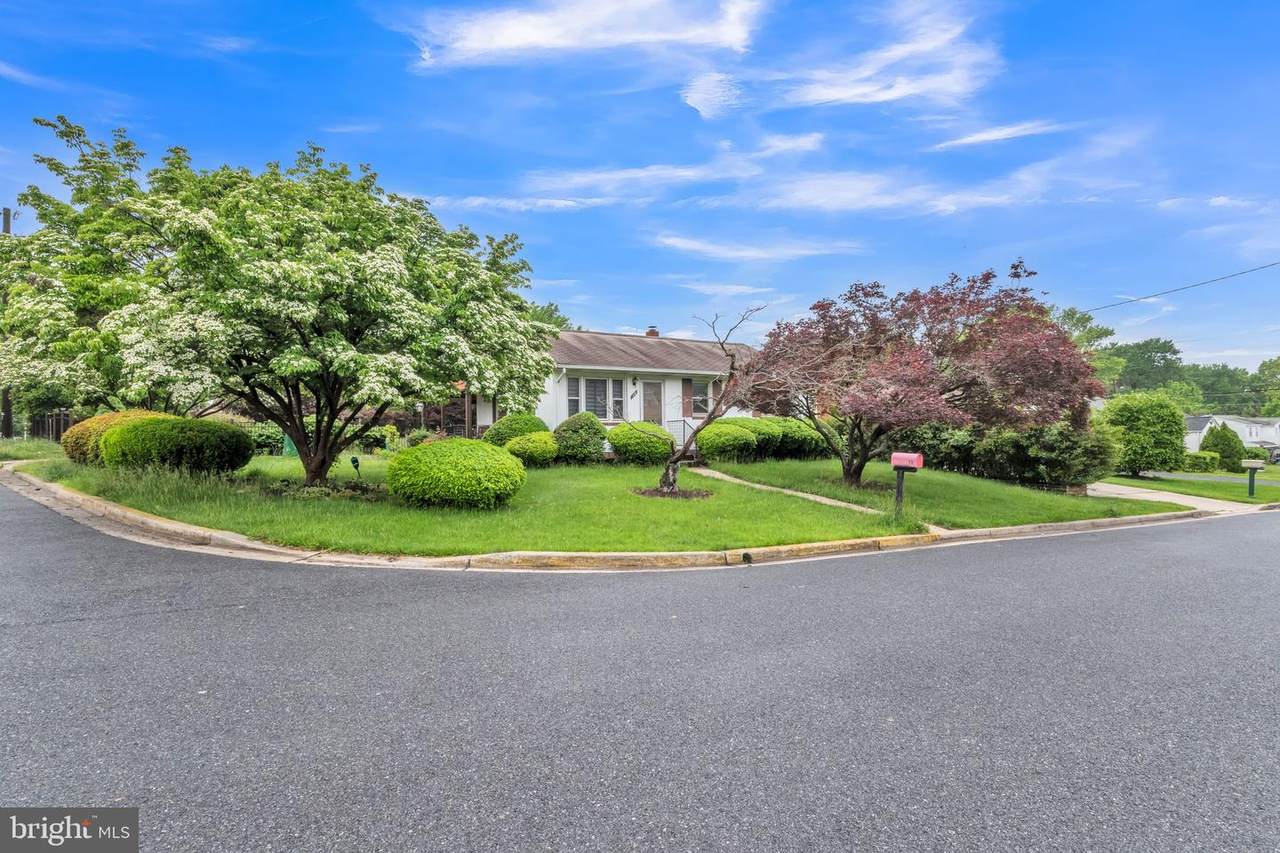 12 Mills Road - Photo 1