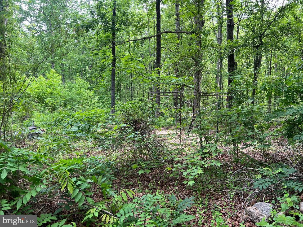 13012 Orange Plank Road - Photo 1
