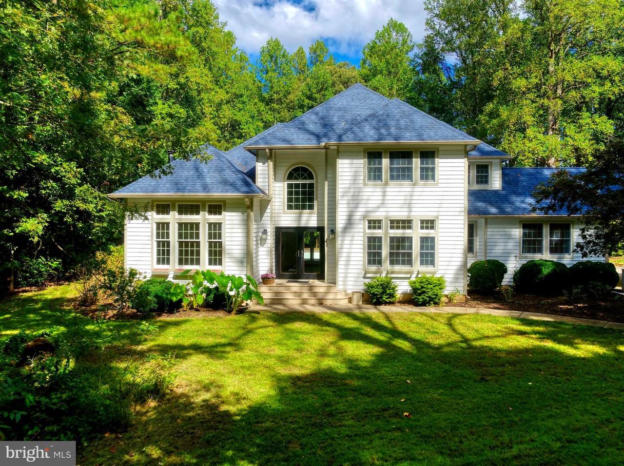 29247 White Pine Lane - Photo 1