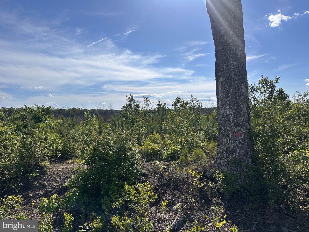 0 Mt Holly Road - Photo 1