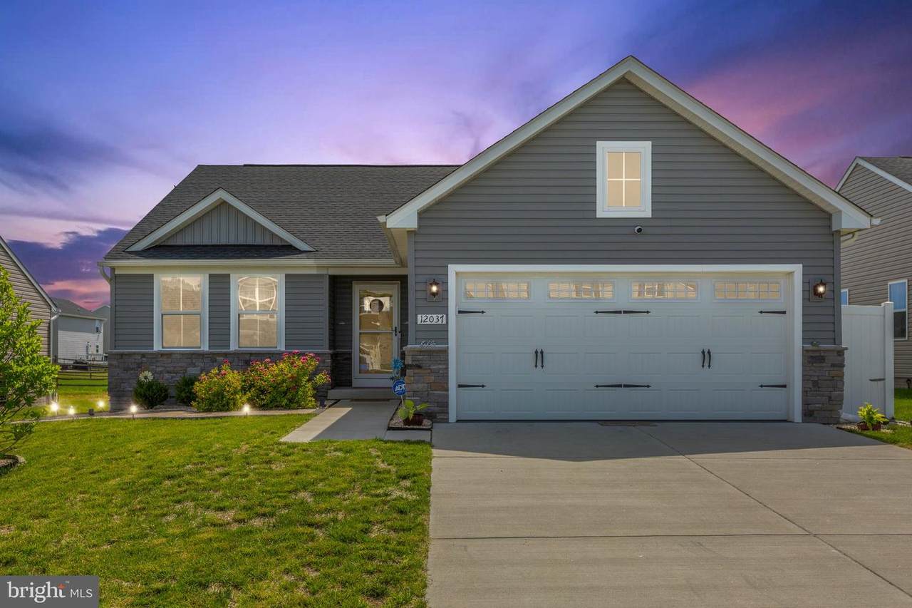 12037 Angora Drive - Photo 1