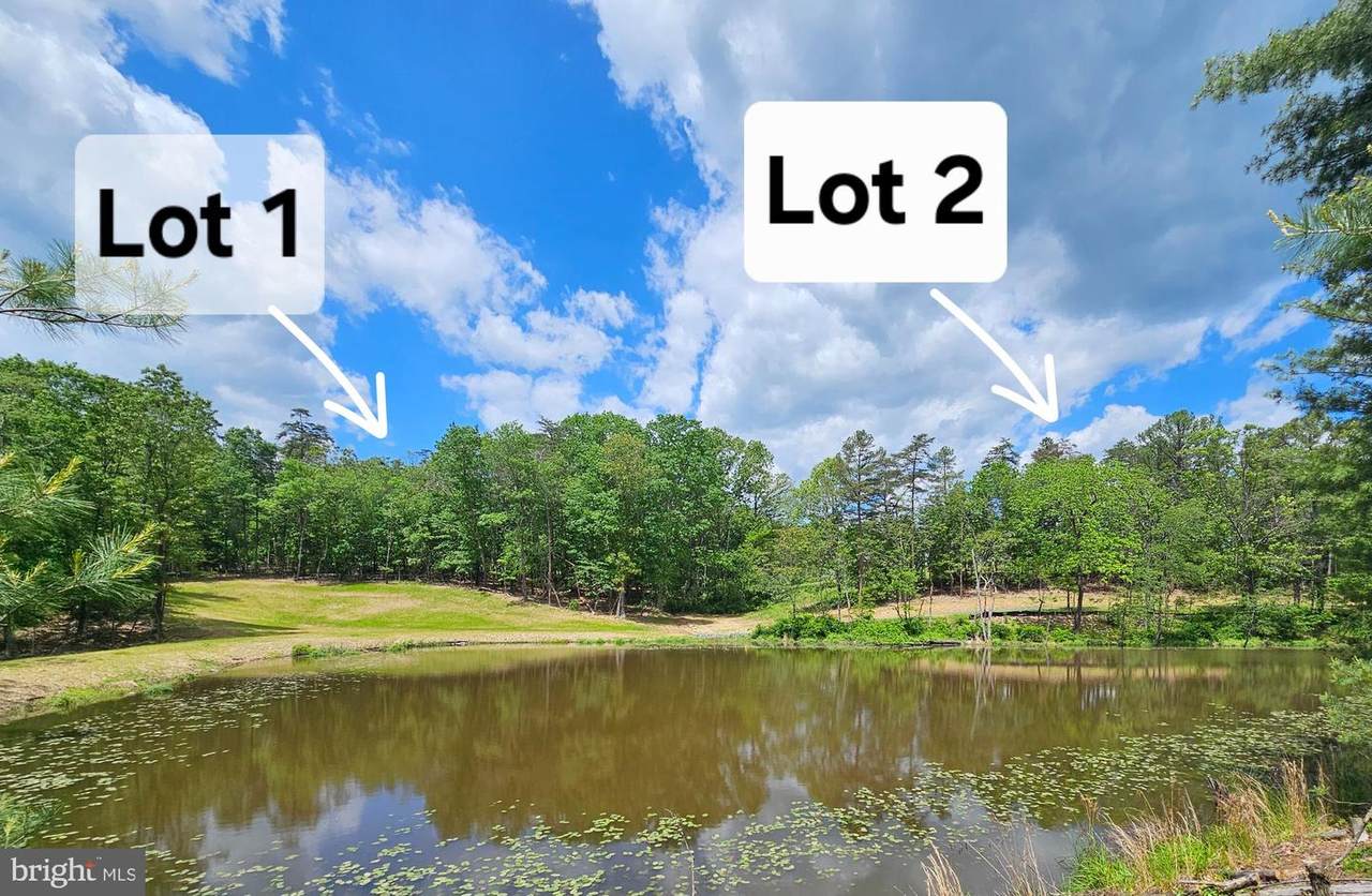 0 Off Red Oak Road - Photo 1