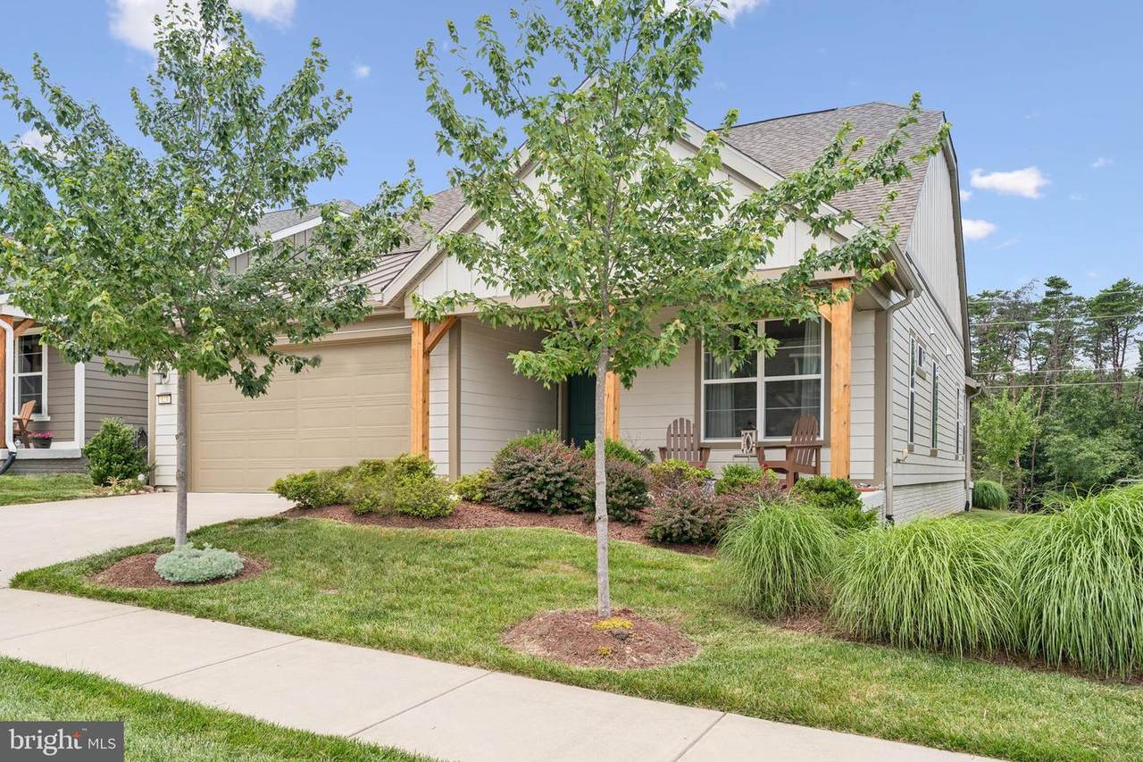 123 Mallard Drive - Photo 1