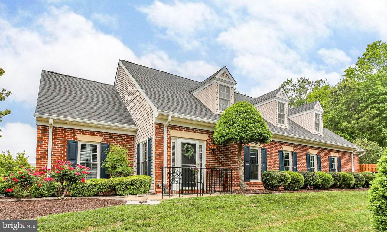 12006 Meadow Branch Way - Photo 1