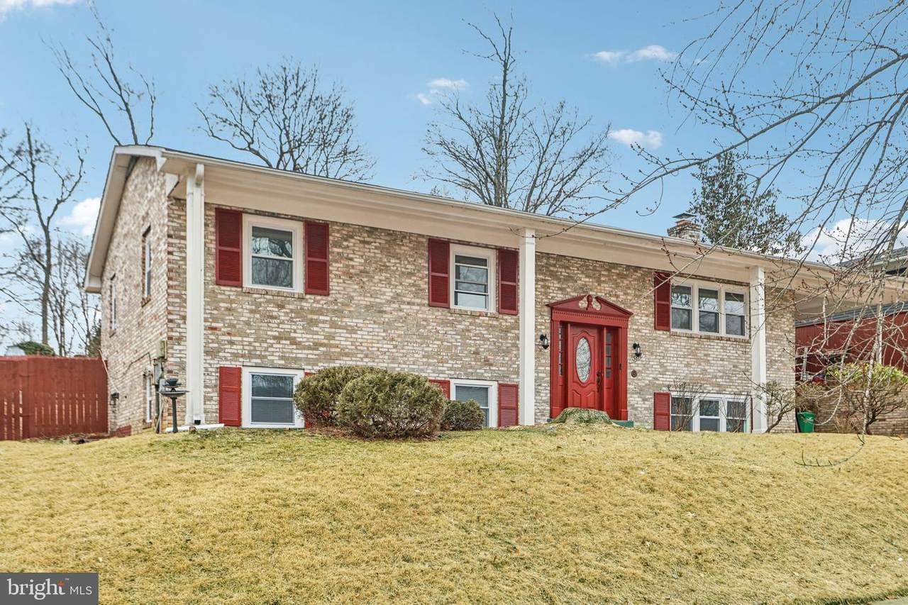 12816 Pine Tree Lane - Photo 1