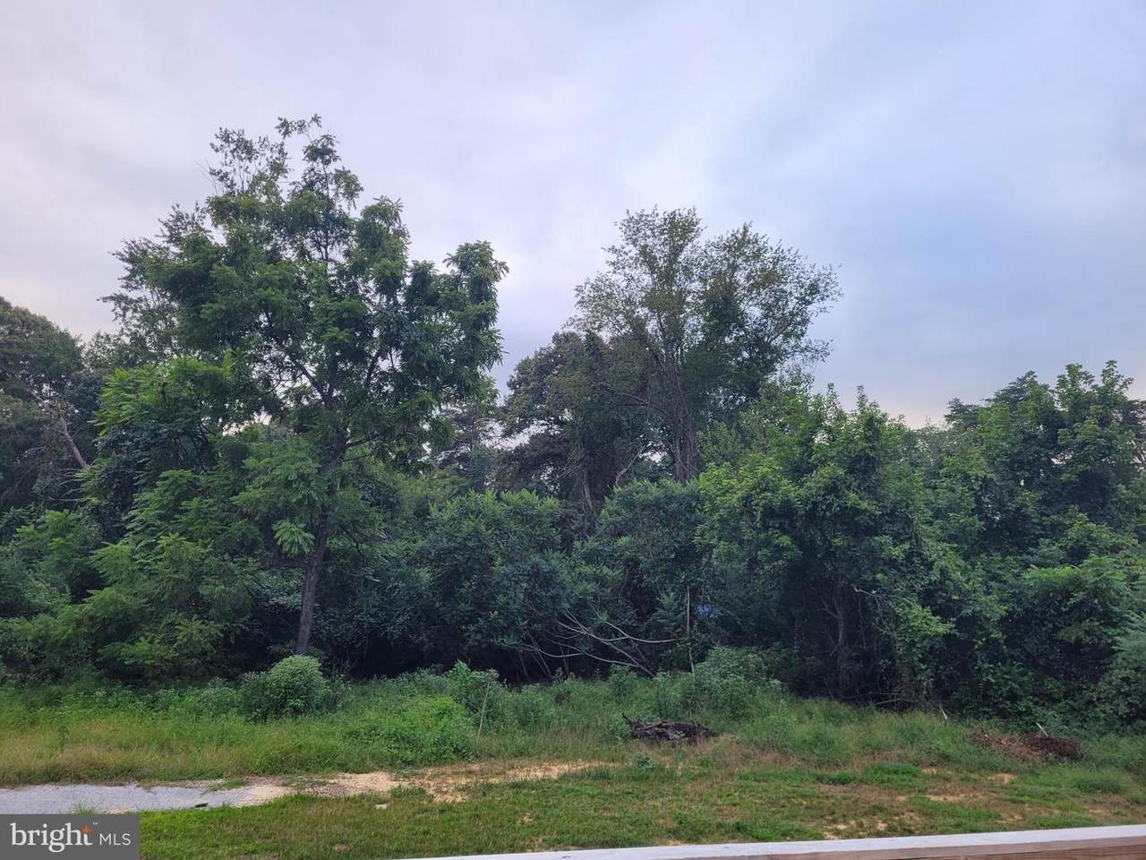 140 Dennis Road - Photo 1