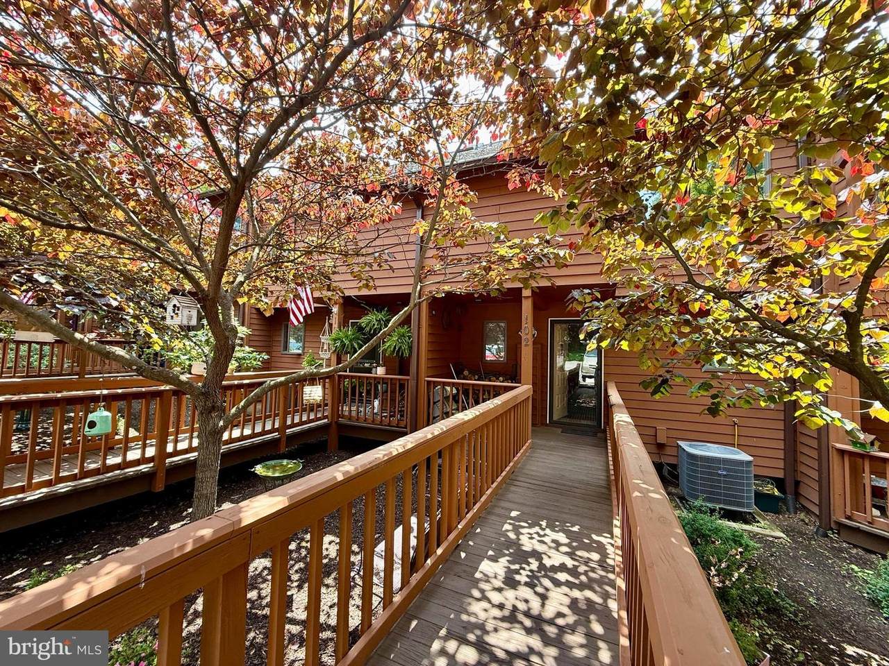 102 Tecumseh Trail - Photo 1