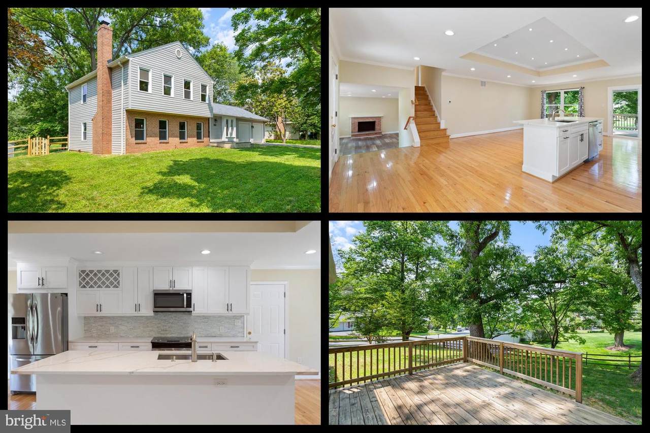 11013 Lopa Lane - Photo 1