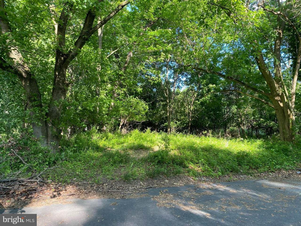 0 Central Avenue - Photo 1