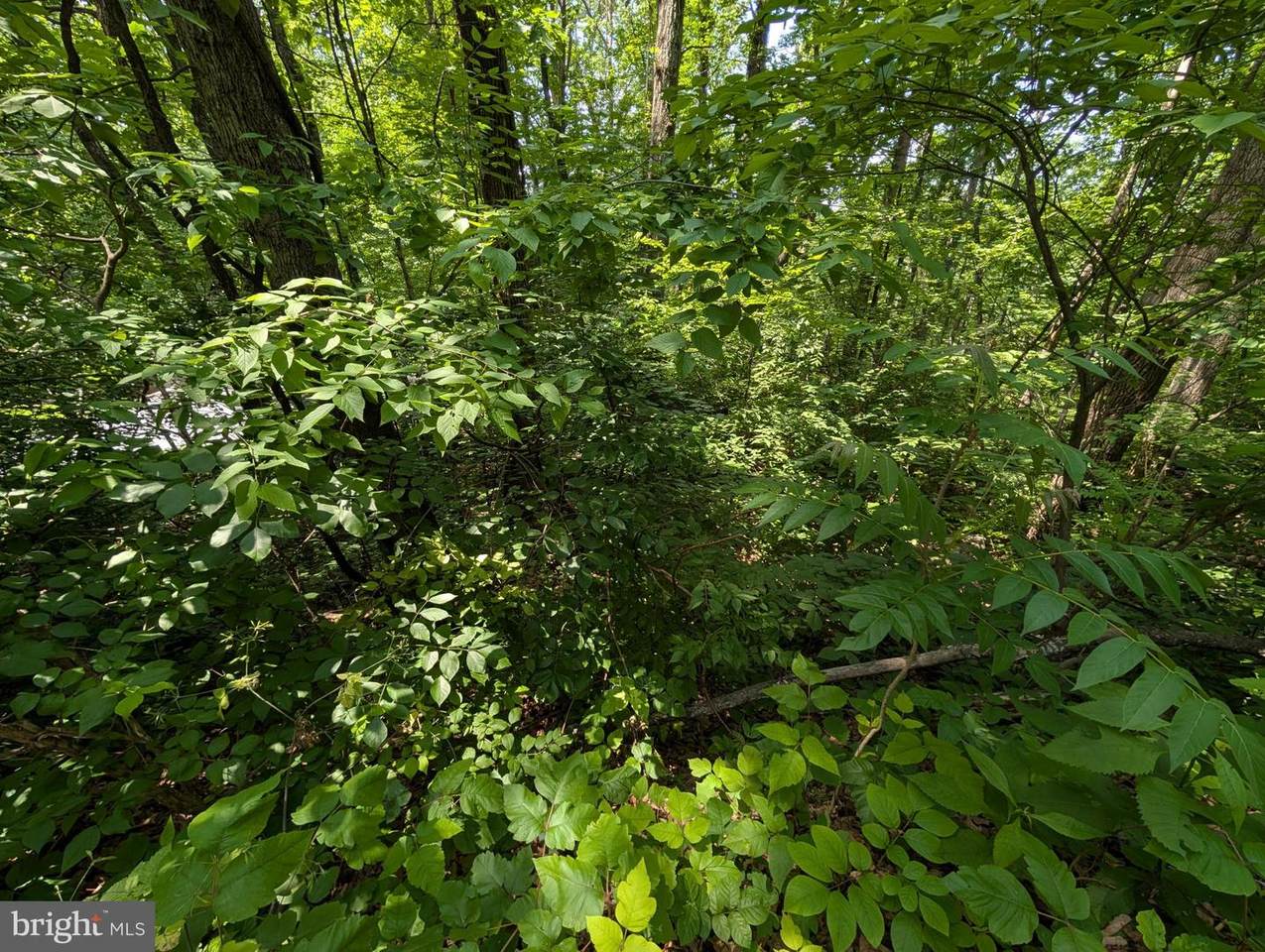 Lot 104 Summit Point Drive - Photo 1