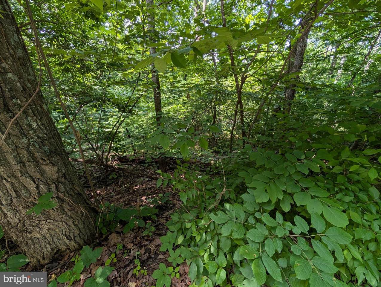 LOT 105 Summit Point Drive - Photo 1