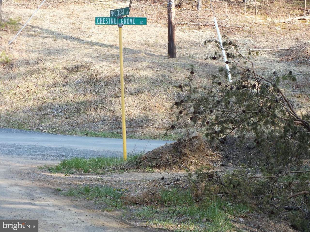 Lot 15 Pine Crest Ln - Photo 1