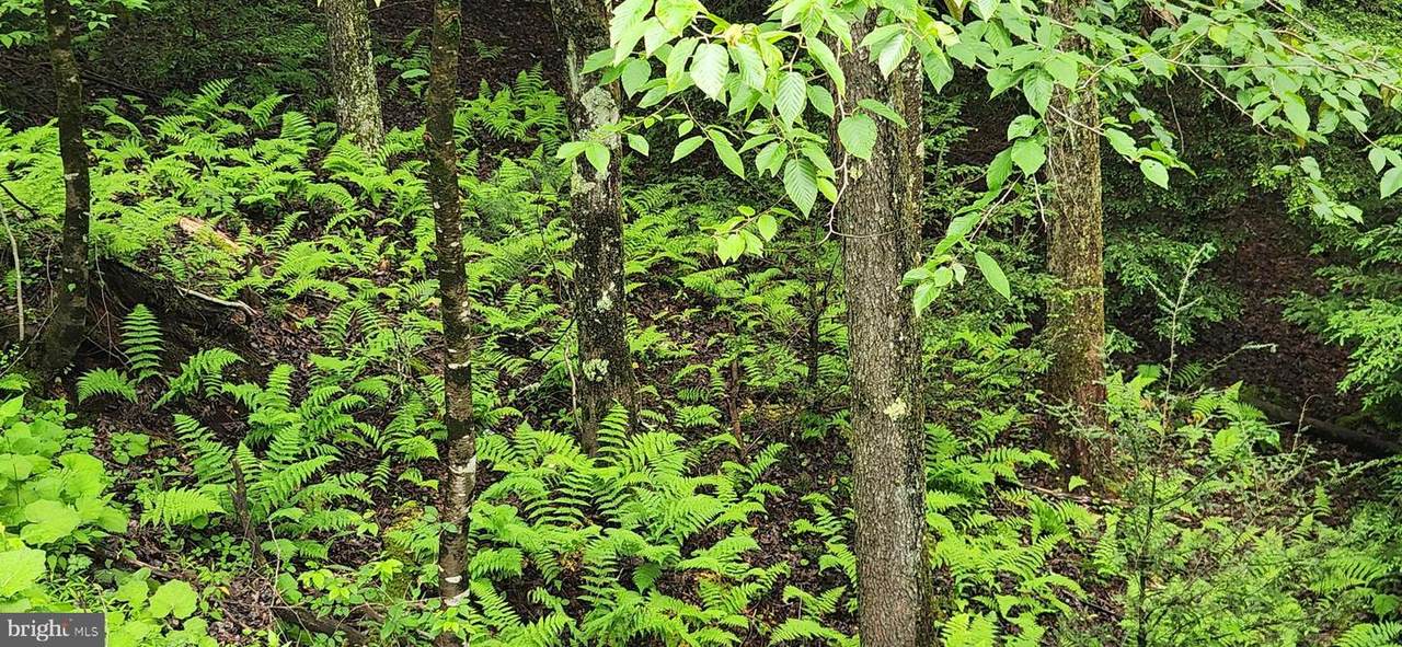  Yough View Drive - Photo 1