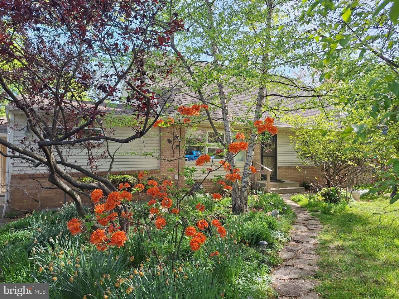 430 Marion Avenue - Photo 1