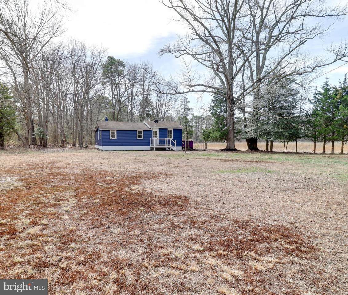519 Back Neck Road - Photo 1