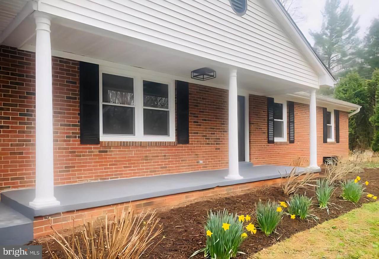 7205 Silver Beech Lane - Photo 1