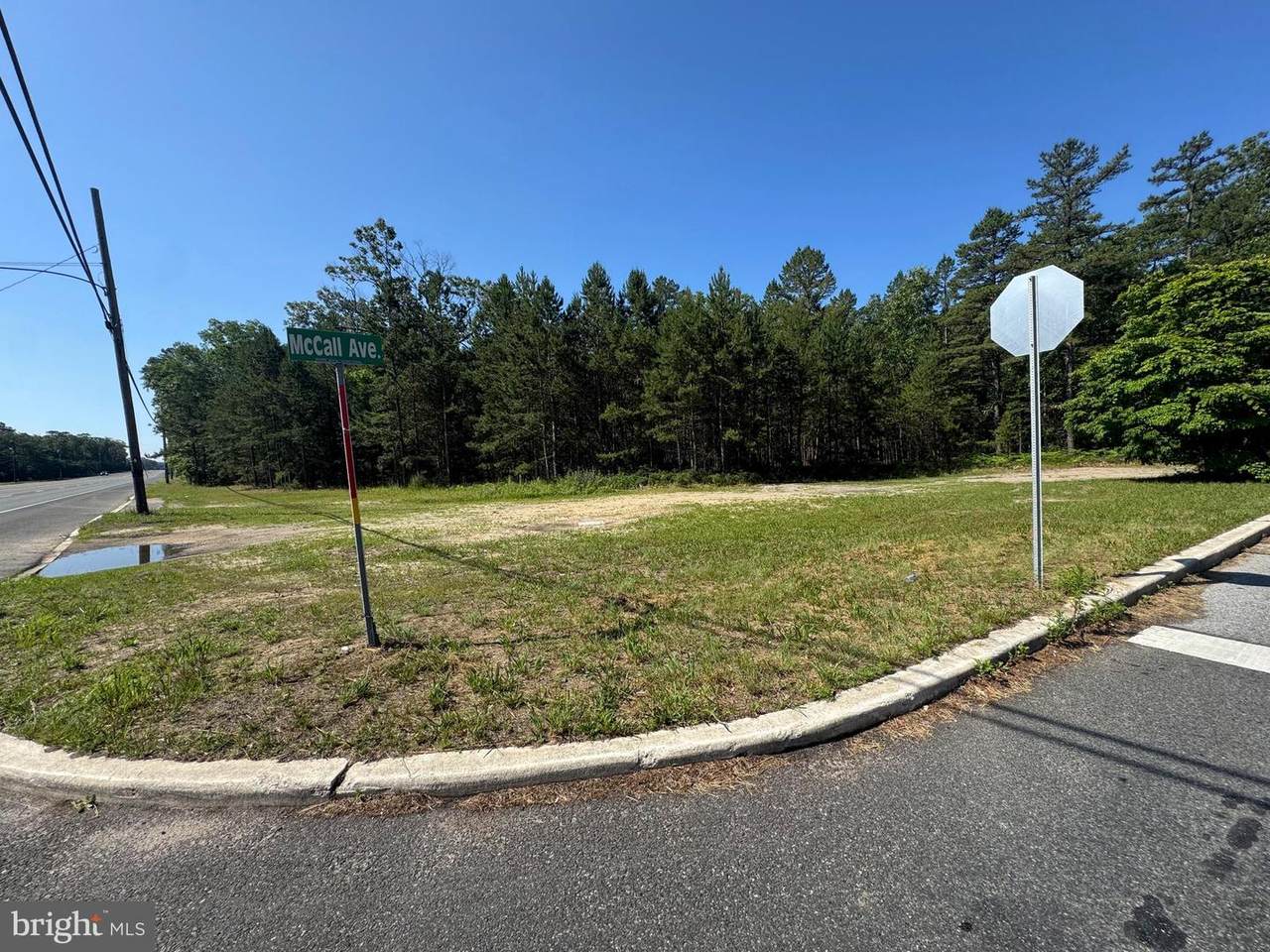 7390 Black Horse Pk - Photo 1